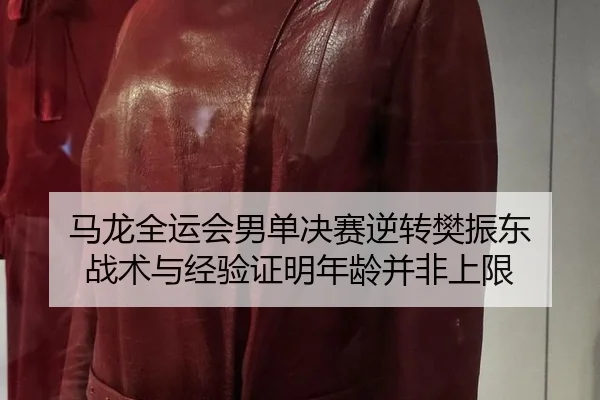 马龙全运会男单决赛逆转樊振东 战术与经验证明年龄并非上限